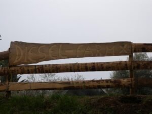 923E03B2 FBC5 4A8D 9F46 07EB5D09B6F7